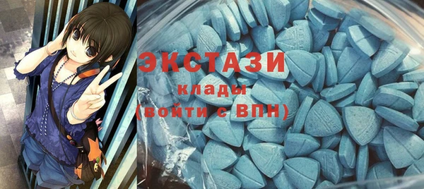 дживик Богородск