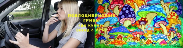 синтетический гашиш Богданович