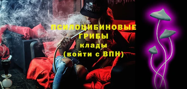 дживик Богородск