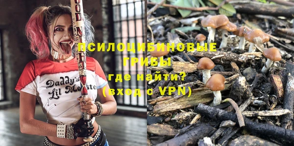 дживик Богородск
