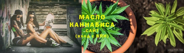 индика Белоозёрский