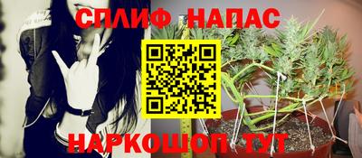 СК Балахна