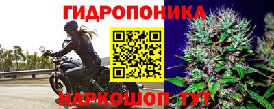 ГАЛЛЮЦИНОГЕННЫЕ ГРИБЫ Балашиха