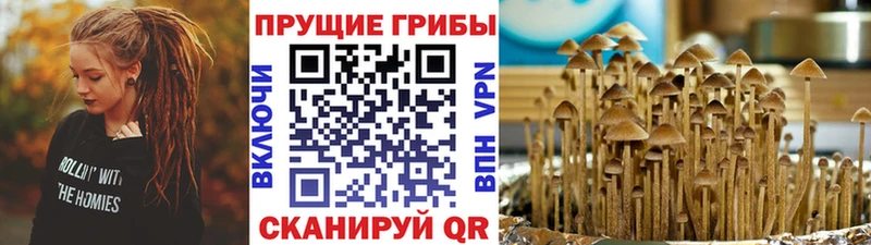 купить   blacksprut вход  Галлюциногенные грибы мицелий  Горячий Ключ 