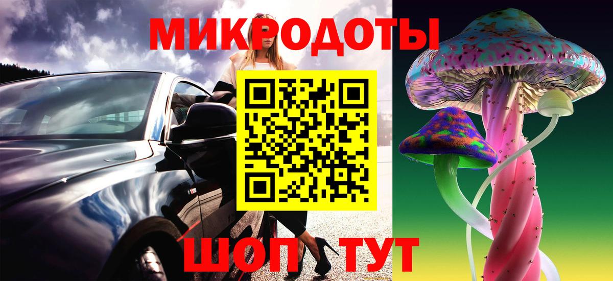 Псилоцибиновые грибы прущие грибы Горячий Ключ