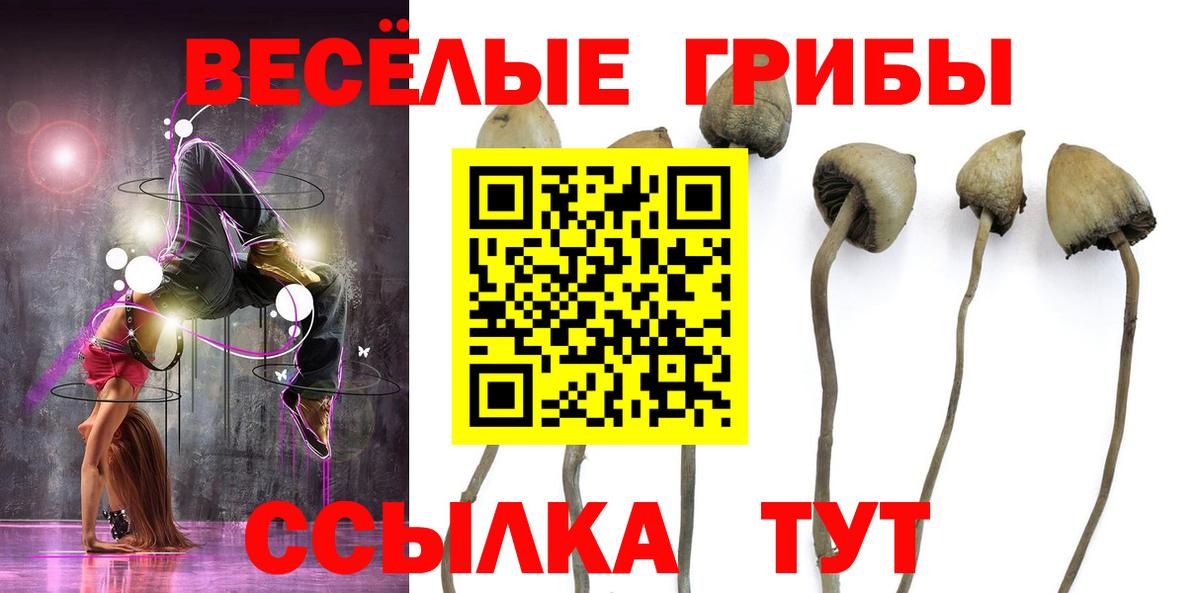 купить   Галлюциногенные грибы мицелий  Вход с VPN  Горячий Ключ 